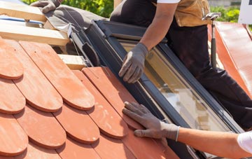 replacement Treveor roof windows