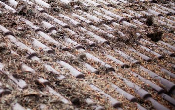 Treveor roof cleaning companies