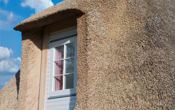 Treveor thatch roof disadvantages
