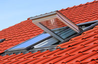 Treveor roof window