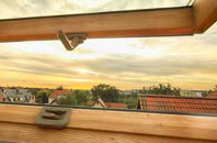 rated Treveor roof window companies